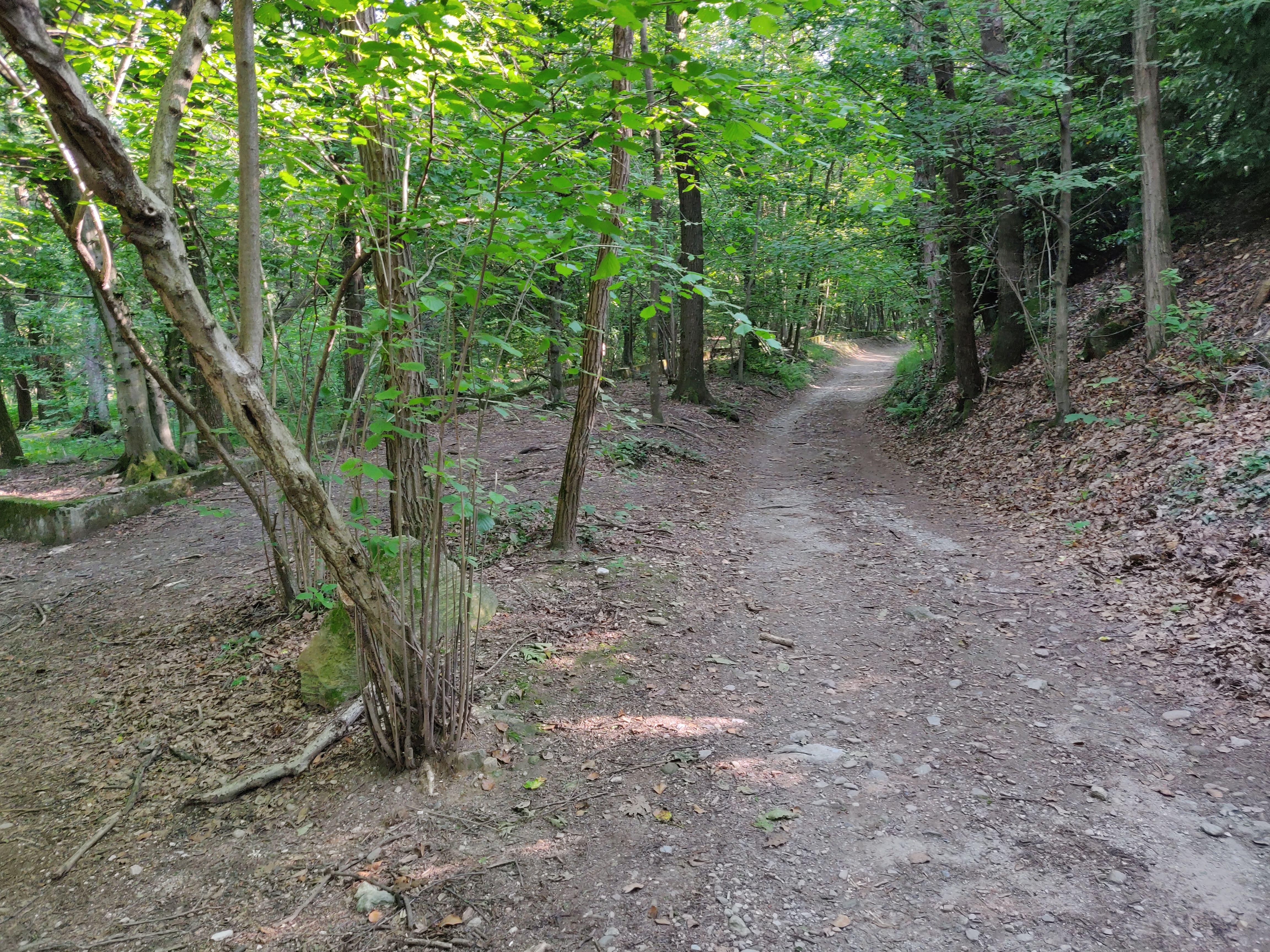 Vendita di terreni agricoli in Lipomo (Como) - 35.000 mq.